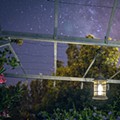 cegonha via lactea-5.jpg